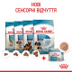 Royal Canin Starter Mousse влажный корм для первого прикорма щенят 195 гр - фото 12