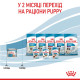 Royal Canin Starter Mousse влажный корм для первого прикорма щенят 195 гр - фото 14