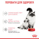 Royal Canin Babycat Instinctive влажный корм для первого прикорма котят 195 гр - фото 2
