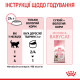 Royal Canin Babycat Instinctive влажный корм для первого прикорма котят 195 гр - фото 8
