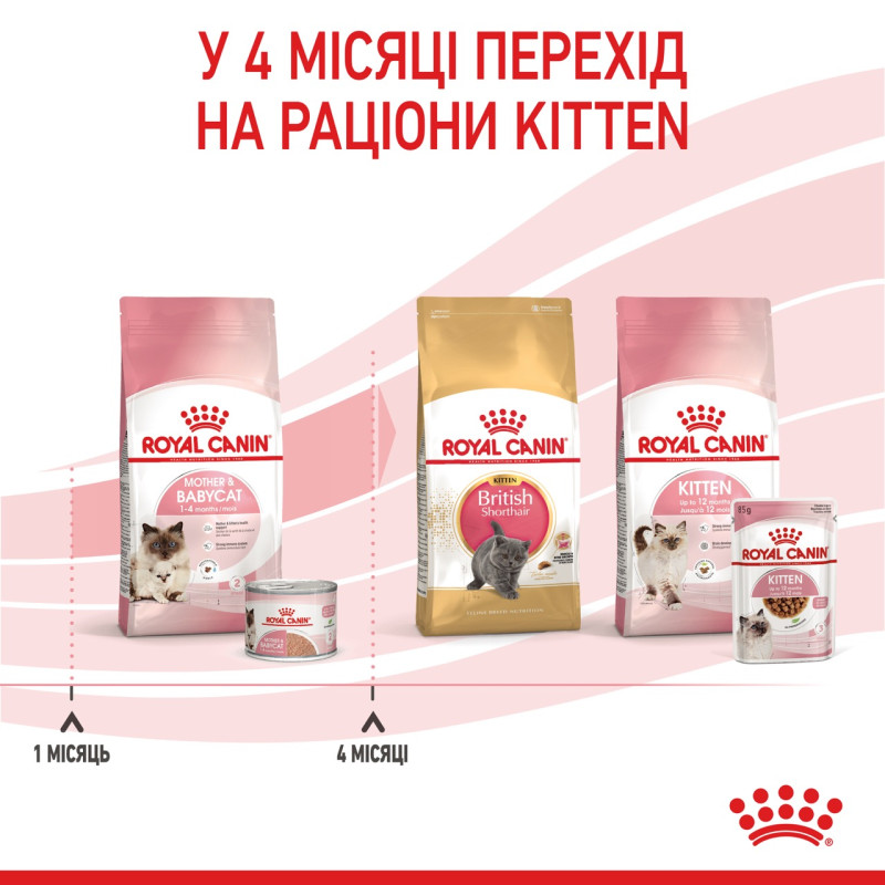 Royal Canin Babycat Instinctive влажный корм для первого прикорма котят 195 гр - фото 12