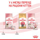 Royal Canin Babycat Instinctive влажный корм для первого прикорма котят 195 гр - фото 12