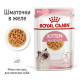 Royal Canin Kitten Instinctive Jelly влажный корм для котят 85 гр - фото 4