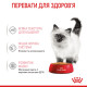 Royal Canin Kitten Instinctive Jelly влажный корм для котят 85 гр - фото 7
