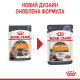 Royal Canin Hair & Skin Care Jelly влажный корм для кошек с чувствительной кожей 85 гр - фото 4