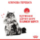 Royal Canin Hair & Skin Care Jelly влажный корм для кошек с чувствительной кожей 85 гр - фото 10