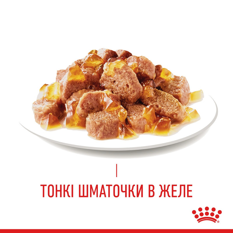 Royal Canin Hair & Skin Care Jelly влажный корм для кошек с чувствительной кожей 85 гр - фото 12