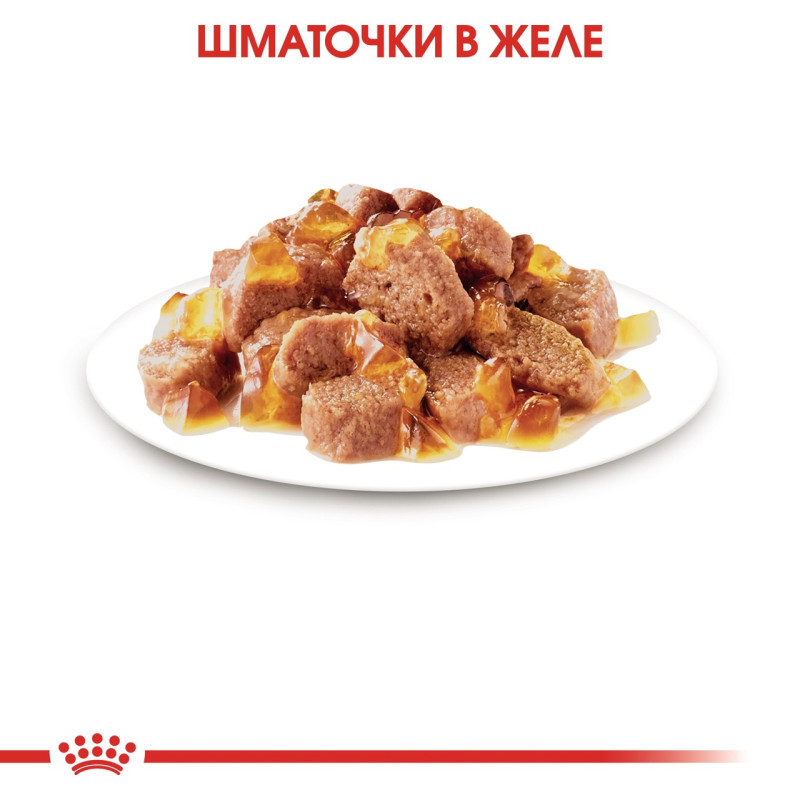Royal Canin Sterilised Jelly влажный корм для стерилизованных котов 85 гр - фото 6