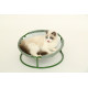 MISOKO&CO Pet bed round лежак складной для собак и кошек, 45x45x22 см, зеленый - фото 5