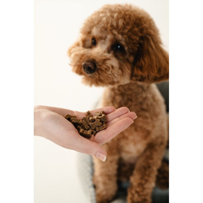 Nature's Protection Superior Care Red Coat Hypoallergenic & Intestinal Care ласощі для собак з рудим забарвленням шерсті з лососем, 150 гр - фото 2