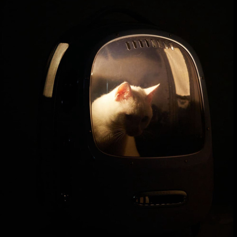 Petkit Breezy2 Smart Cat Carrier рюкзак-переноска для котов и собак малых пород, 45 см х 33 см х 30 см, коричневый - фото 2