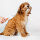 Petkit Pet Grooming Brush2 щетка для ухода за шерстью собак и котов - фото 3