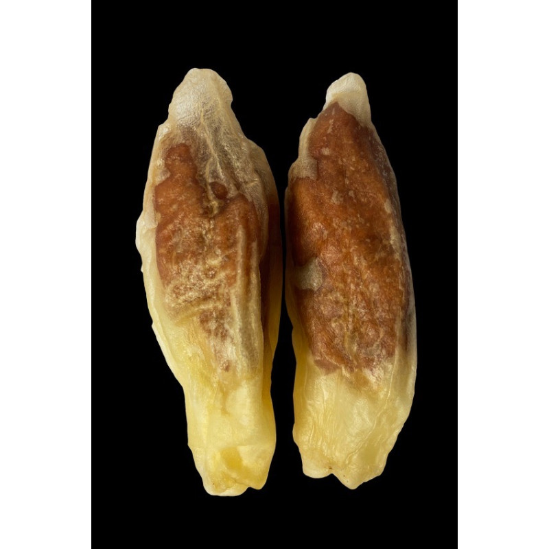 Nature's Protection Superior Care Rabbit Ears With Duck лакомство для собак кроличьи уши с уткой, 75 гр - фото 2
