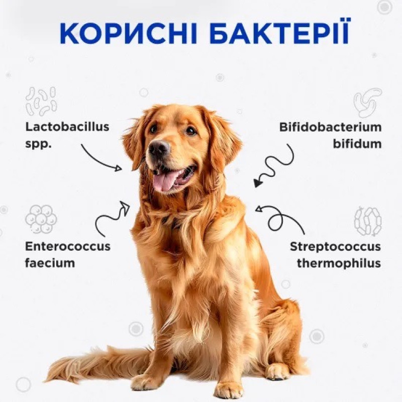 ModeS Kombiflor Probiotic витамины с пробиотиками для собак и котов, 15 шт х 2 гр - фото 3