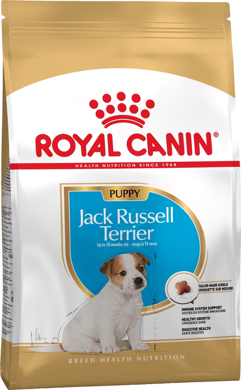 Royal Canin Jack Russell Terrier Puppy сухий корм для цуценят породи джек рассел 1.5 кг