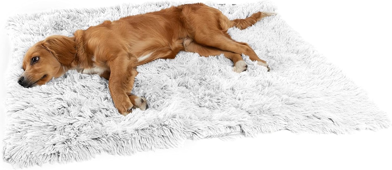 Outward Hound Best Friends Donut Shag Blanket Shag килимок для собак, сірий, 101 х 76 см